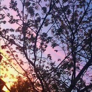 Meet your Posher, Scarlett